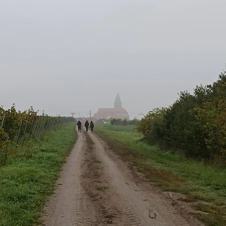 Ubytovani U Senkyrky Zaječí