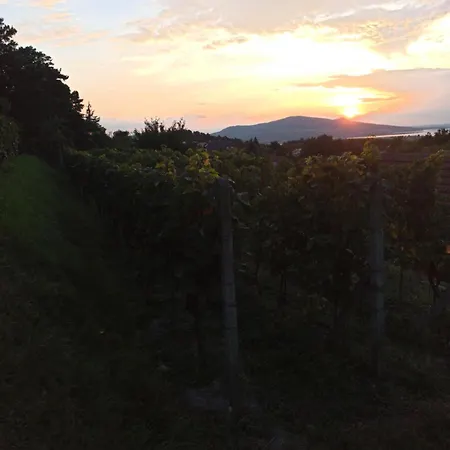 U Senkyrky Zaječí